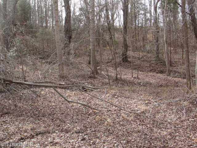 14 Huffine Mill Road Dayton, OH 45405 - Photo 7 of 11 Land/Lot. Stream bed meadow meandering through western proposed lot line.
