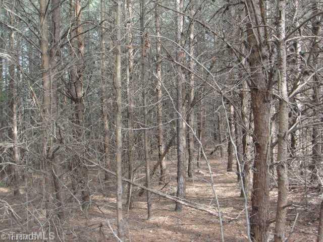 14 Huffine Mill Road Dayton, OH 45405 - Photo 8 of 11 Land. Pine forest on eastern side of proposed lot # 12.