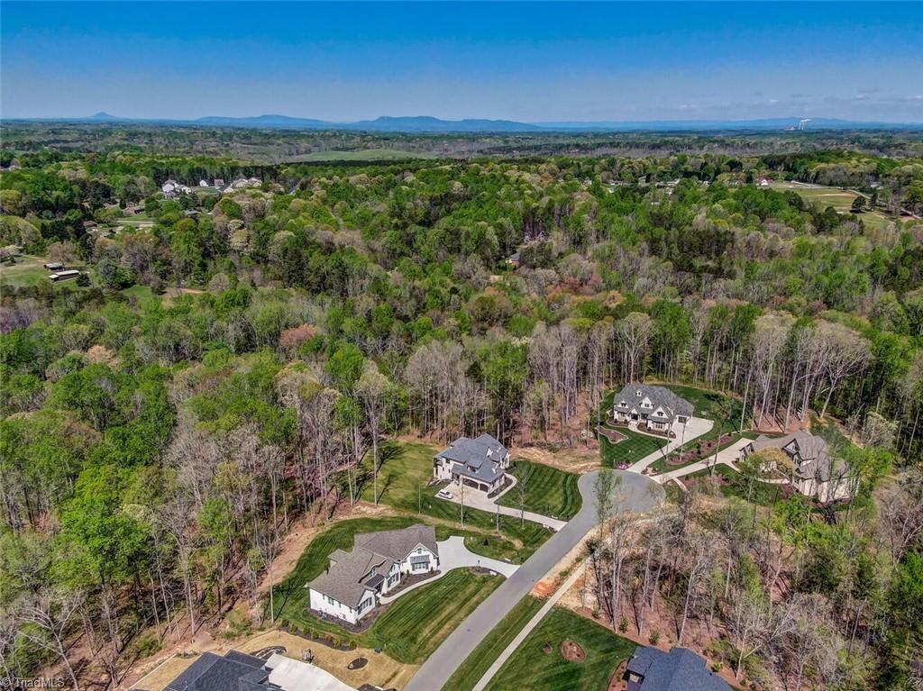 6905 Wittington Court Oak Ridge, NC 27310 - Photo 7 of 49