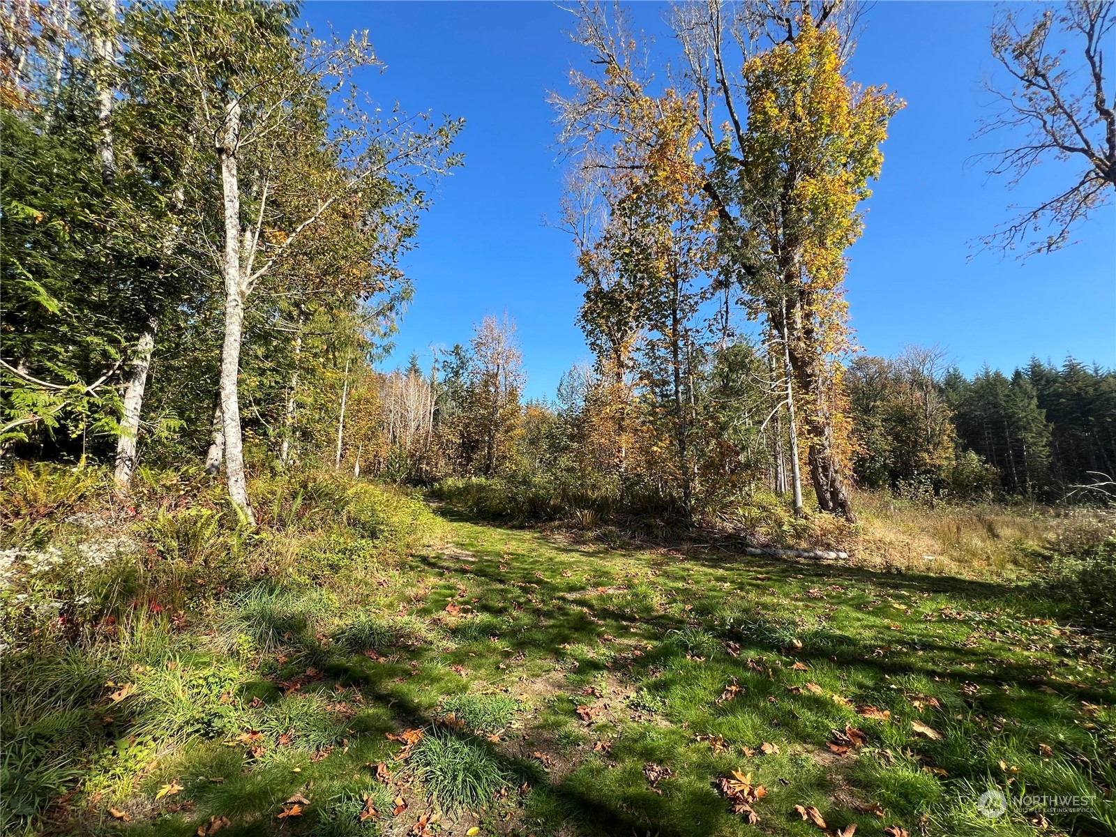 147 Tree Haven Road Quilcene, WA 98376 - Photo 9 of 17 Gallery Image 9