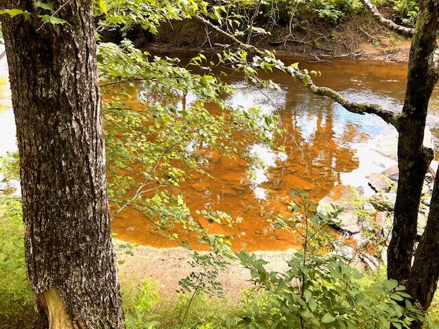 543 Knowlton Corner Road Farmington, ME 04938 - Photo 11 of 21 IMG_0927