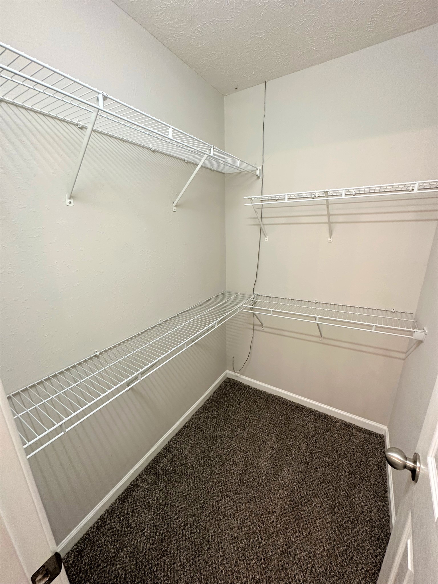 113 Lancaster Gate Place Murfreesboro, TN 37128 - Photo 17 of 28 a view of a room with racks on the wall