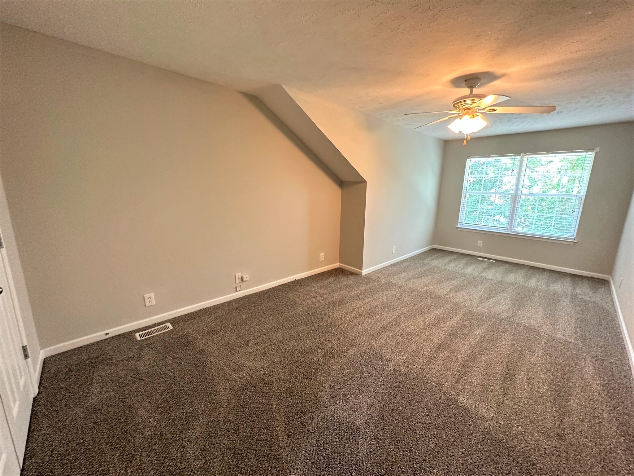 113 Lancaster Gate Place Murfreesboro, TN 37128 - Photo 28 of 28 en empty room with windows and ceiling fan