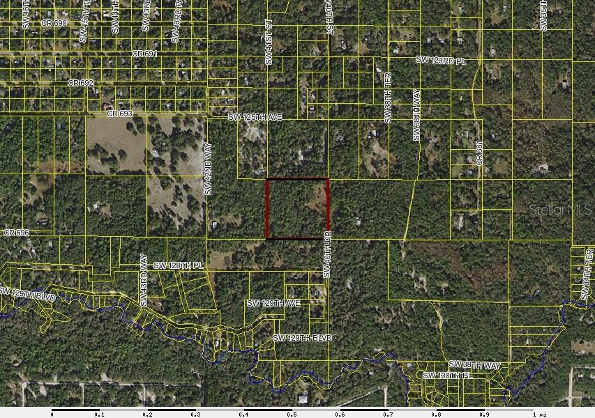 0 Southwest 40th Drive Webster, FL 33597 - Photo 1 of 1 Gallery Image 1