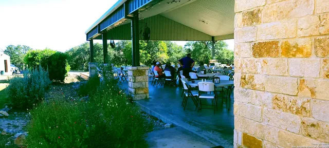 a view of a garden with a bench in a garden
