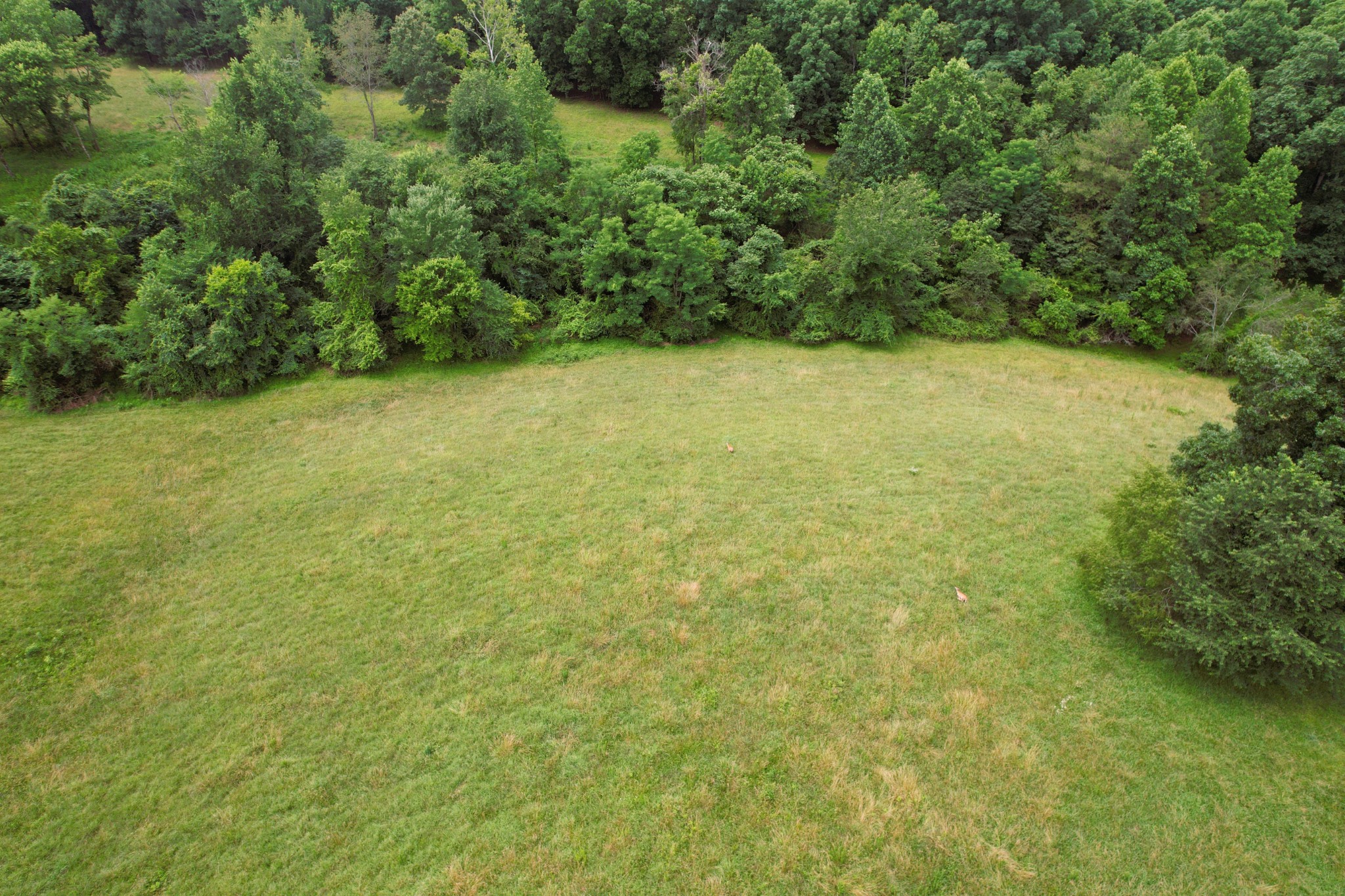 0 Crowder Road Lawrenceburg, TN 38464 - Photo 40 of 58