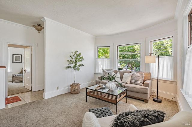 a living room with furniture a rug and a potted plant