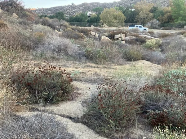 a view of a yard with a tree