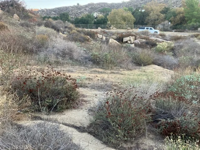 a view of a yard with a tree