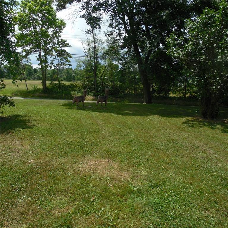 1555 Old Princeton Road New Castle, PA 16101 - Photo 7 of 25 Looking out the front