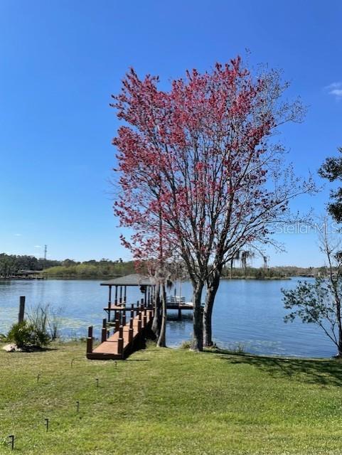 13048 Lake Roper Court Windermere, FL 34786 - Photo 23 of 80 Gallery Image 23