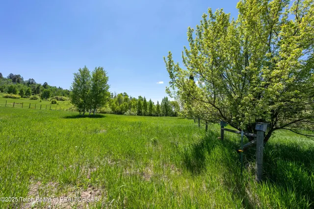 $3,000,000 | 1-2 Lever Springs Road, Alpine, WY 83128