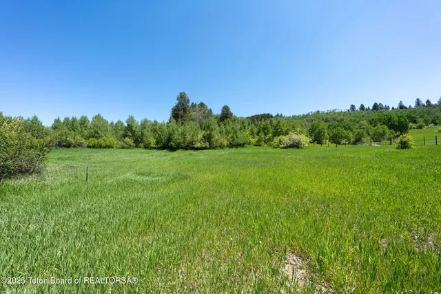 $3,000,000 | 1-2 Lever Springs Road, Alpine, WY 83128