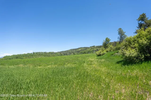 $3,000,000 | 1-2 Lever Springs Road, Alpine, WY 83128
