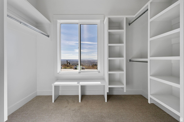 710 East Mountain Road North Ogden, UT 84414 - Photo 17 of 36 Walk in closet featuring light carpet