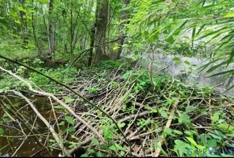 $635,000 | Tbd Shady Pine Lane, Windsor, VA 23487