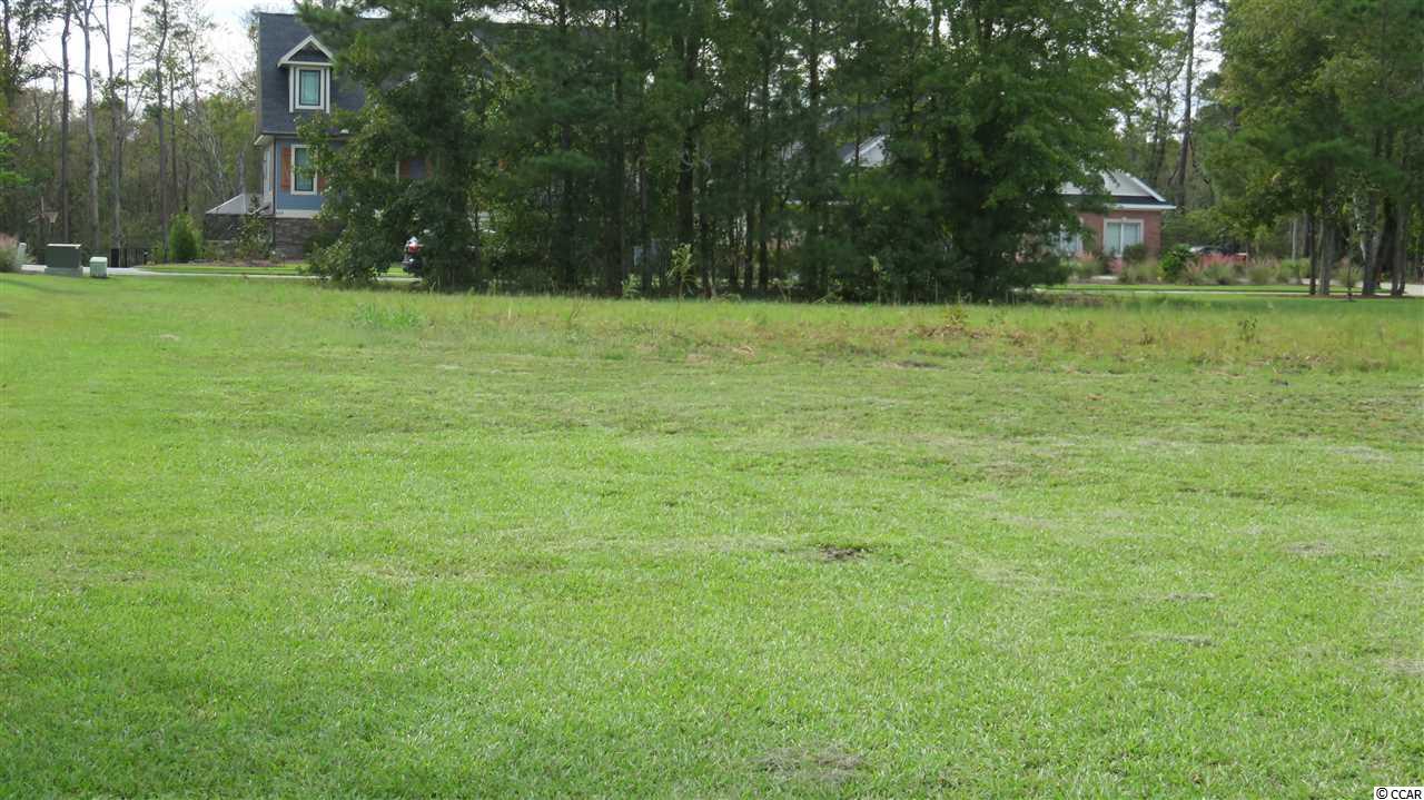 Lot 216 Chamberlin Road Myrtle Beach, SC 29588 - Photo 8 of 34 Gallery Image 8