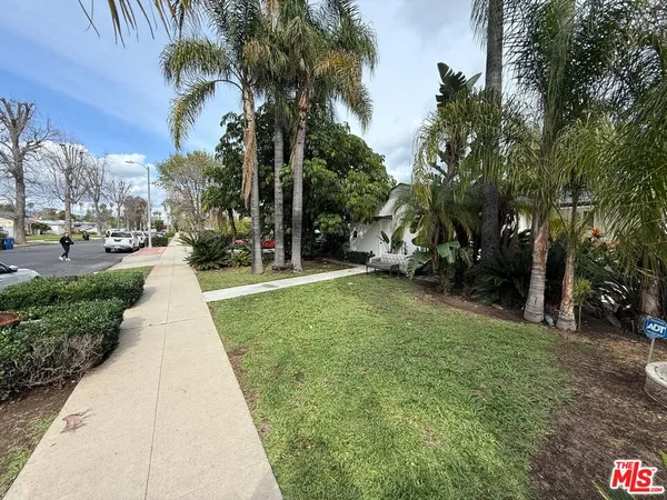 a view of a park with trees