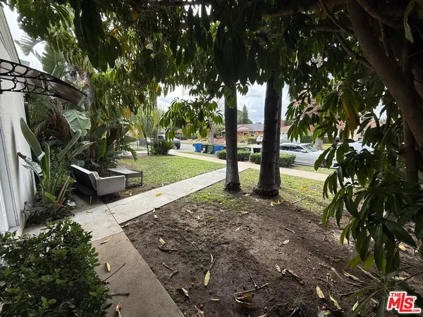 a view of a park with large trees