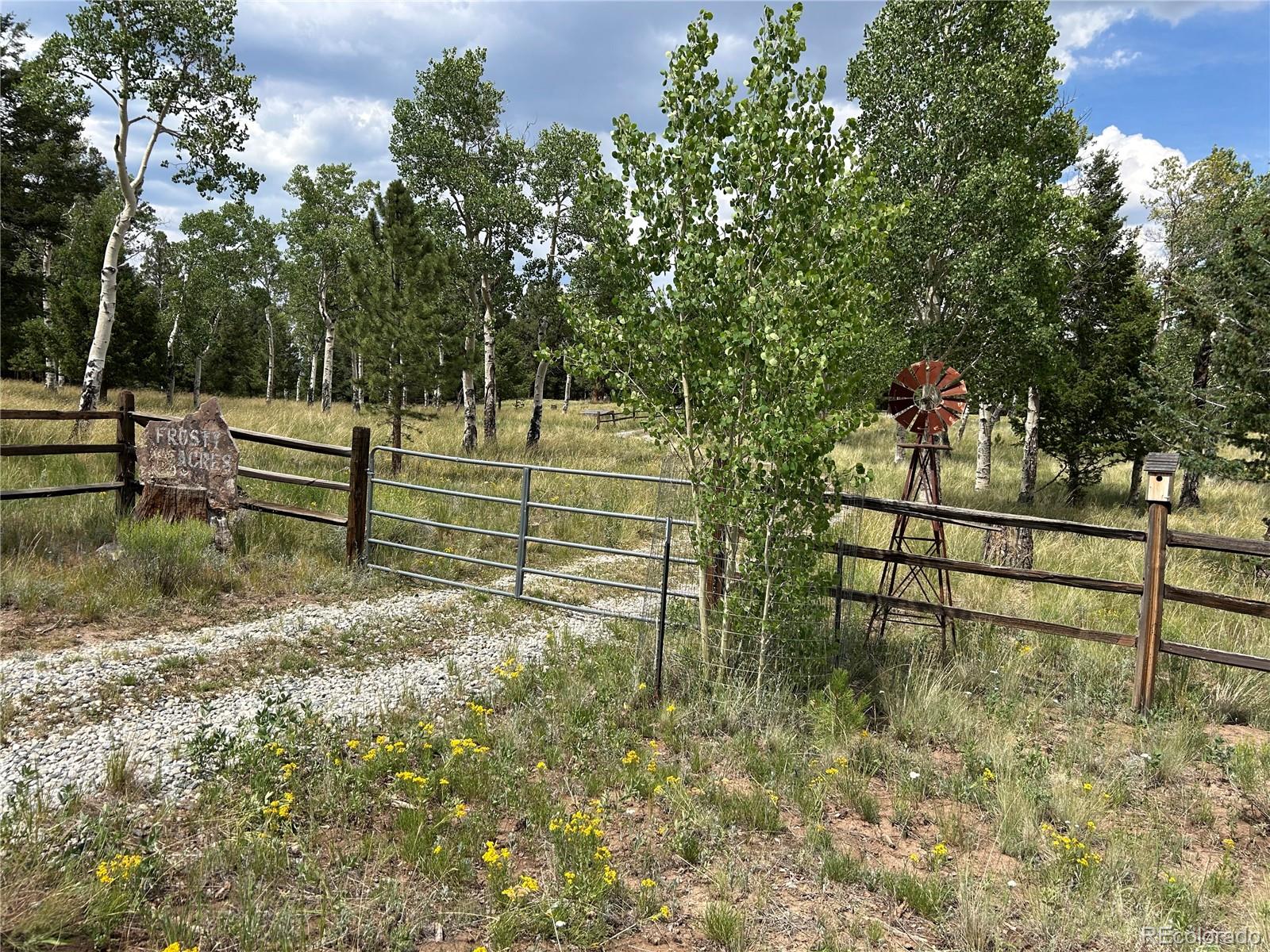 2130 Pitchfork Road Hartsel, CO 80449 - Photo 1 of 30 a view of backyard