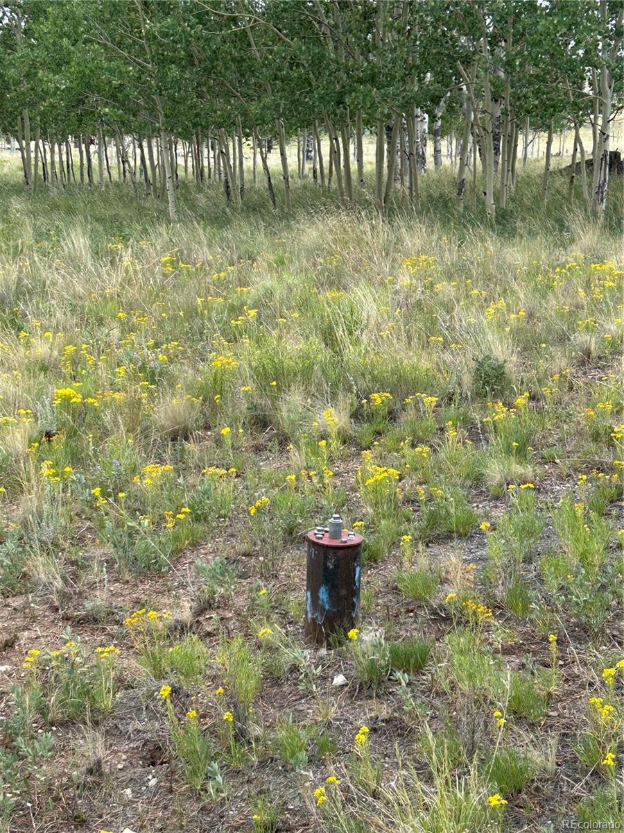 2130 Pitchfork Road Hartsel, CO 80449 - Photo 15 of 30 a view of swimming pool from a yard