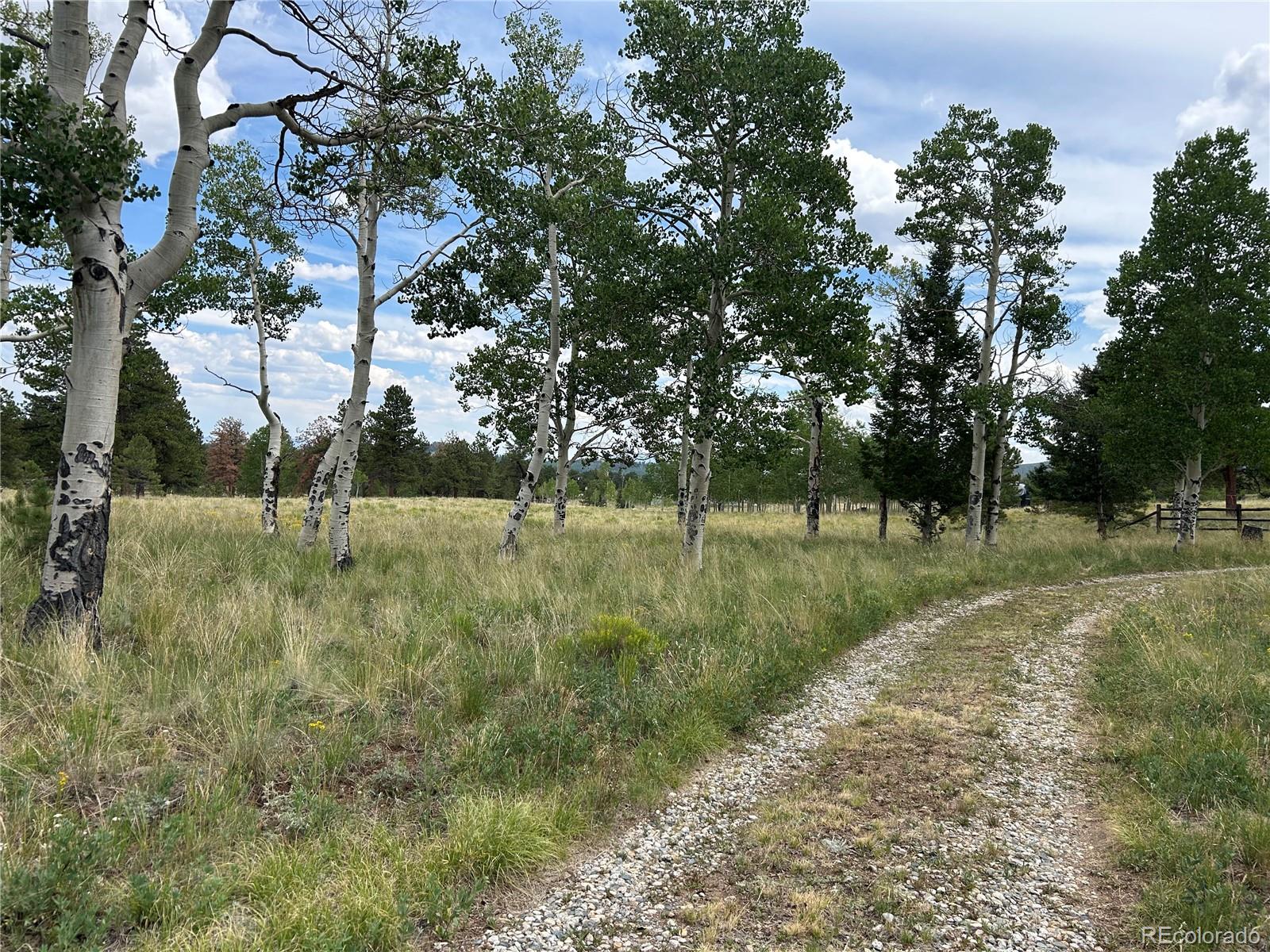 2130 Pitchfork Road Hartsel, CO 80449 - Photo 16 of 30 a view of outdoor space and yard