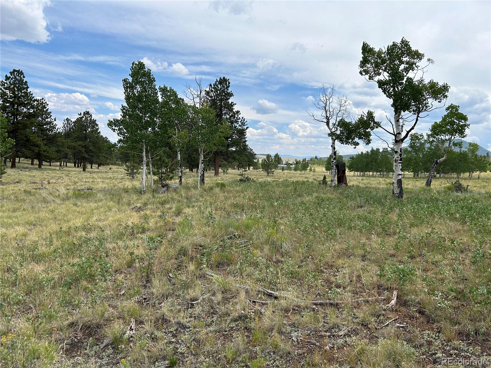 2130 Pitchfork Road Hartsel, CO 80449 - Photo 20 of 30 a view of large trees with a yard