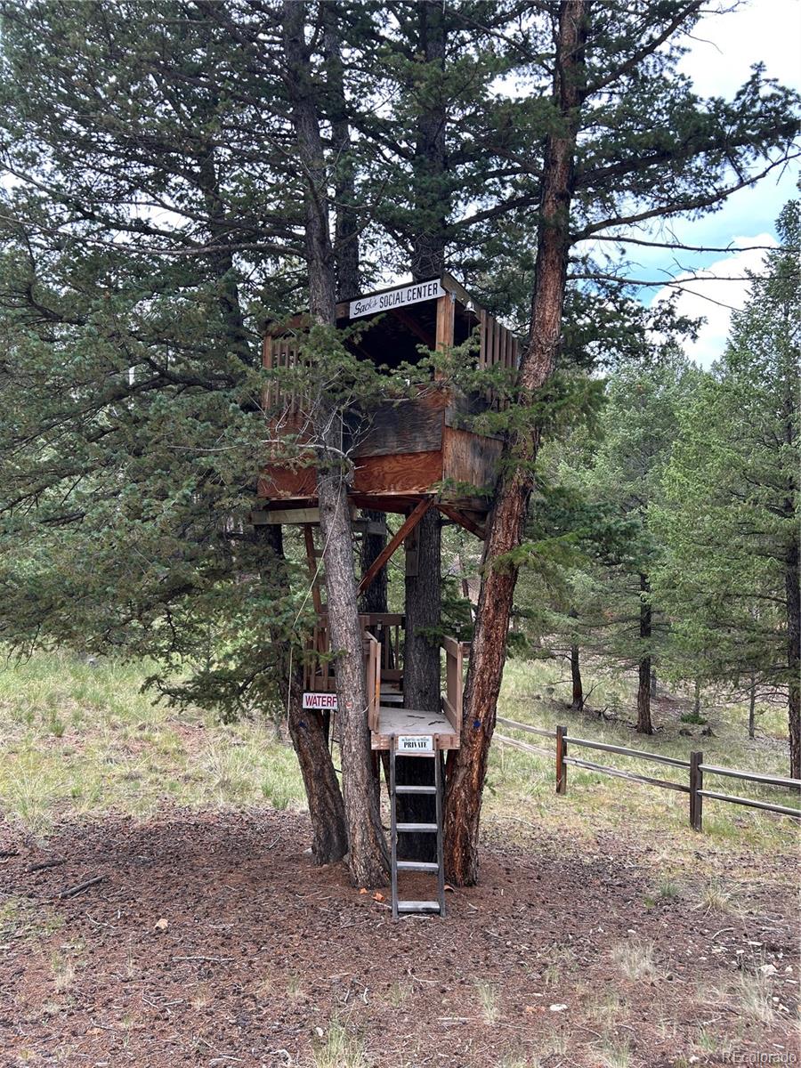 2130 Pitchfork Road Hartsel, CO 80449 - Photo 21 of 30 a view of a chairs and table in the backyard