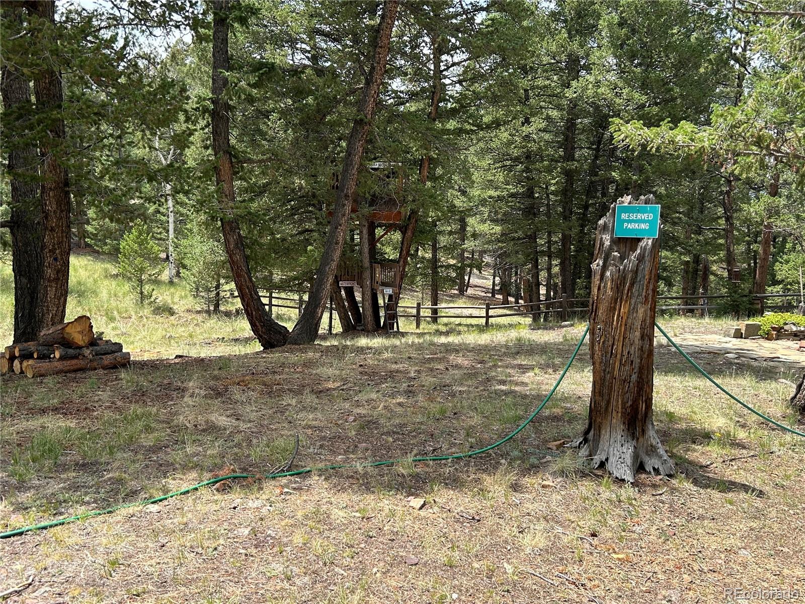 2130 Pitchfork Road Hartsel, CO 80449 - Photo 23 of 30 a view of outdoor space with trees
