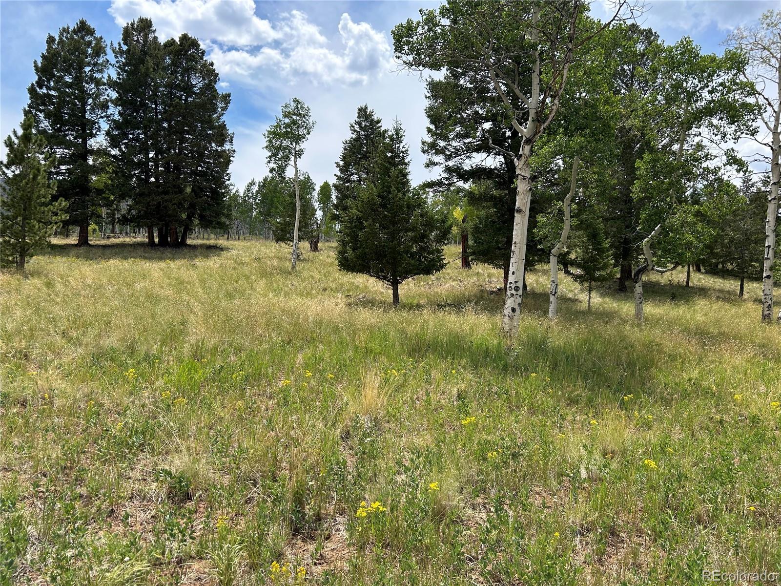 2130 Pitchfork Road Hartsel, CO 80449 - Photo 27 of 30 a backyard of a house with lots of green space