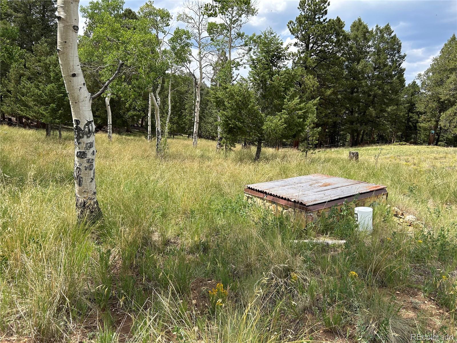 2130 Pitchfork Road Hartsel, CO 80449 - Photo 29 of 30 a view of a backyard