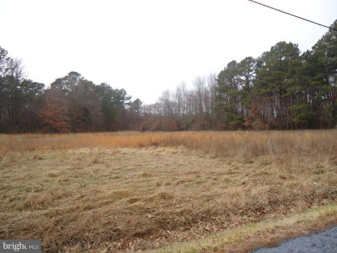 Nanticoke Road East Tyaskin, MD 21865 - Photo 1 of 3 a view of lake