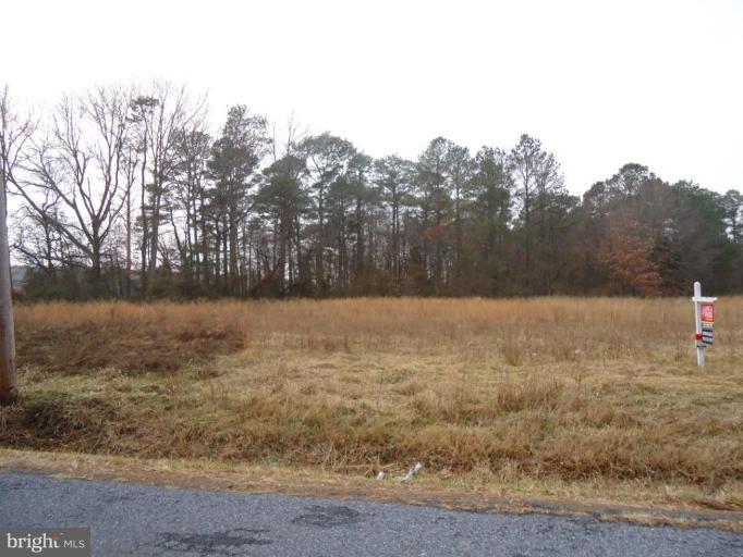 Nanticoke Road East Tyaskin, MD 21865 - Photo 3 of 3 a view of a lake view