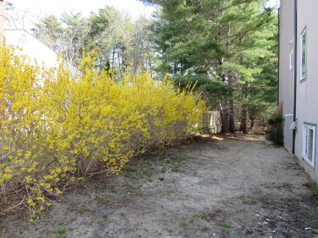 27 Gitche Gumee Road Buzzards Bay, MA 02532 - Photo 4 of 42 003