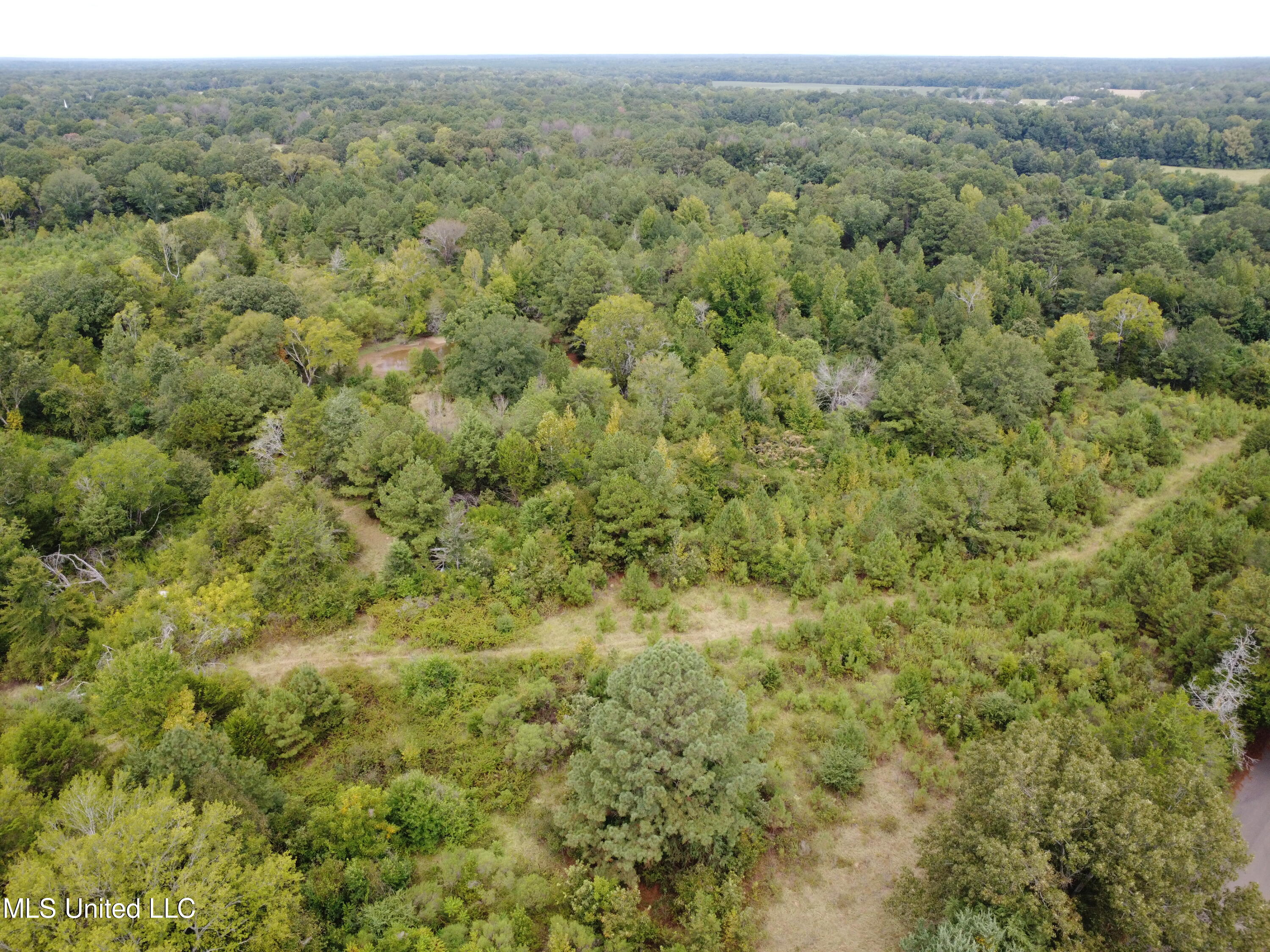 1 Robinson ''the Crossroads'' Road Canton, MS 39046 - Photo 1 of 4 DJI_0798