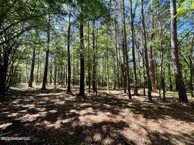 1 Robinson ''the Crossroads'' Road Canton, MS 39046 - Photo 4 of 4 20240617210823272504000000-o