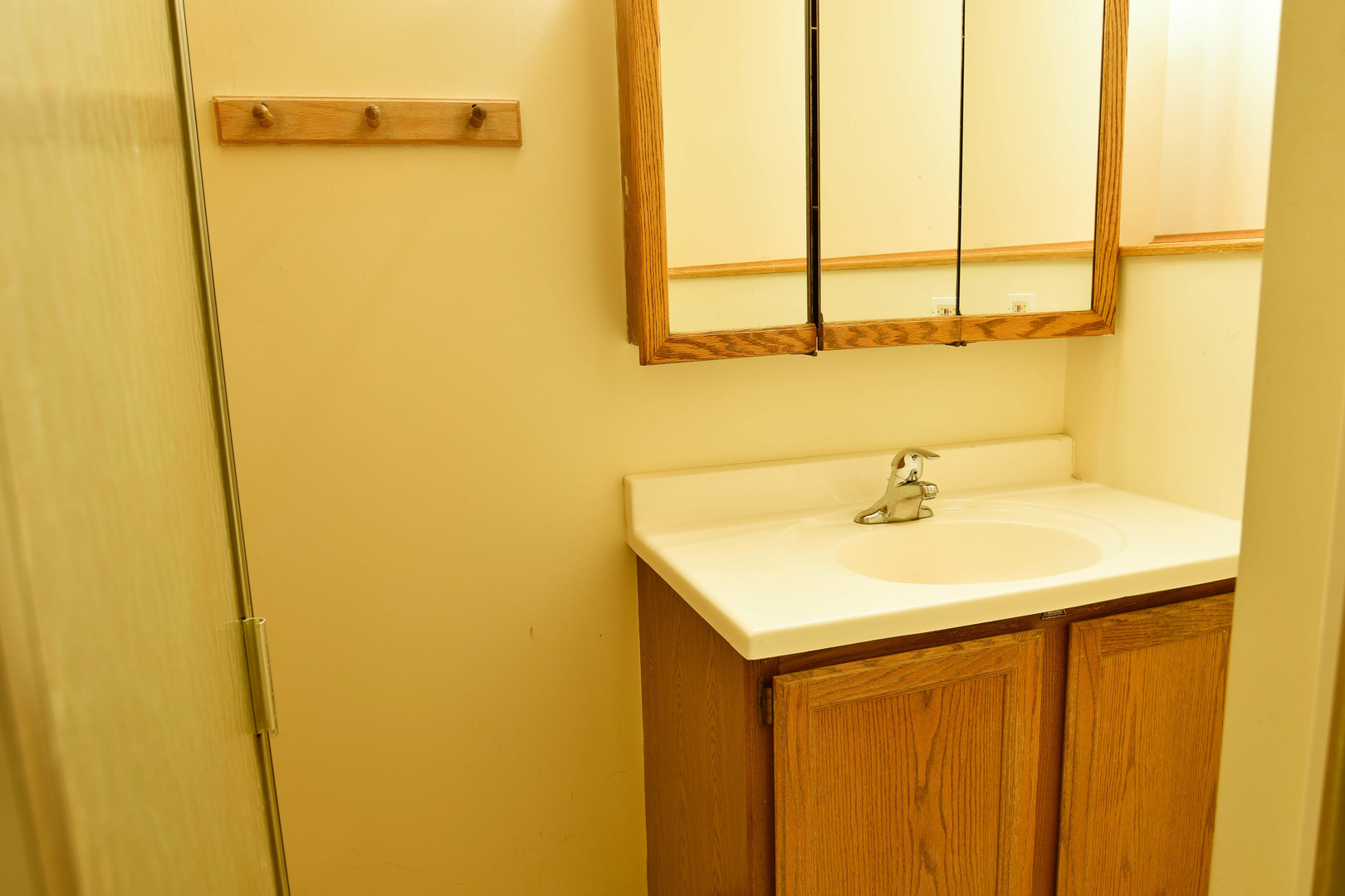 11415 West Edgewood Road Beach Park, IL 60087 - Photo 27 of 29 a bathroom with a sink a mirror and a shower