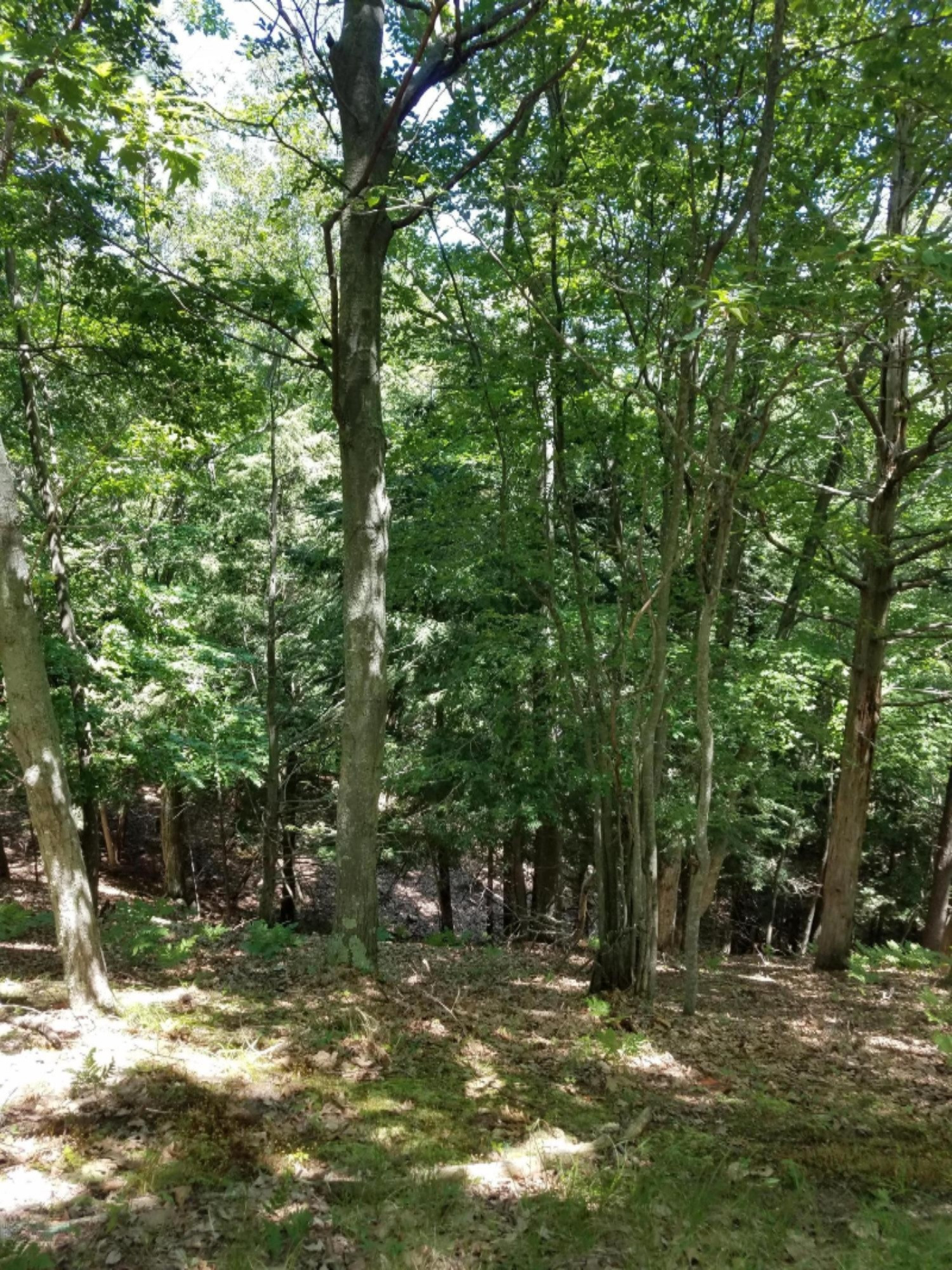 Short Street Onekama, MI 49675 - Photo 11 of 15 20180718_133033