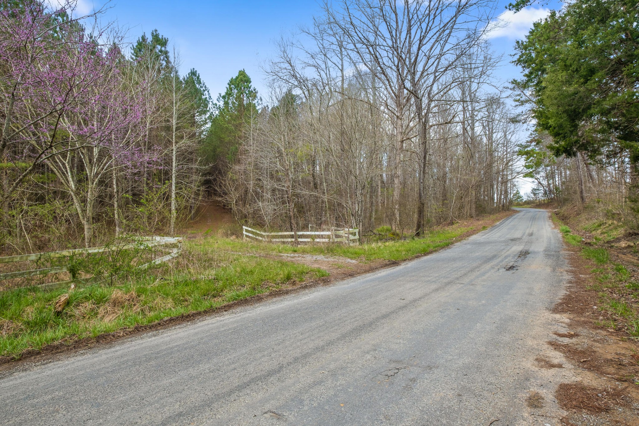 2041 Plank Road Decatur, TN 37322 - Photo 5 of 36 a view of a backyard with large trees