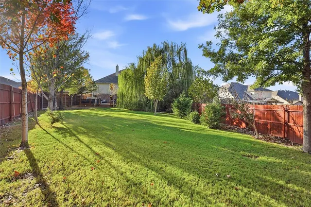 a view of a park with large trees