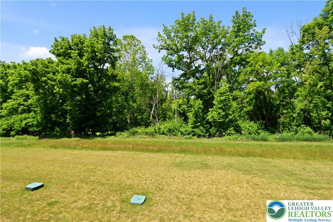 2336 Alex Road Easton, PA 18040 - Photo 27 of 35 Green foliage frames a spacious lot, offering a natural backdrop for a future home.