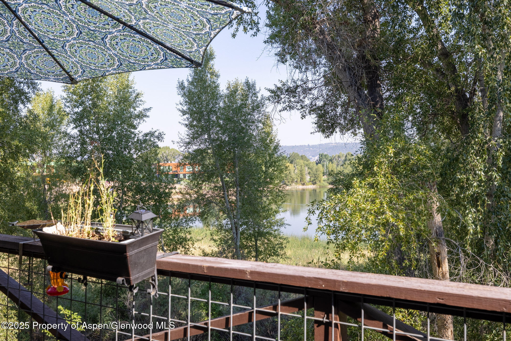 614 Lakeside Drive Basalt, CO 81621 - Photo 8 of 14 2L4A2950-HDR