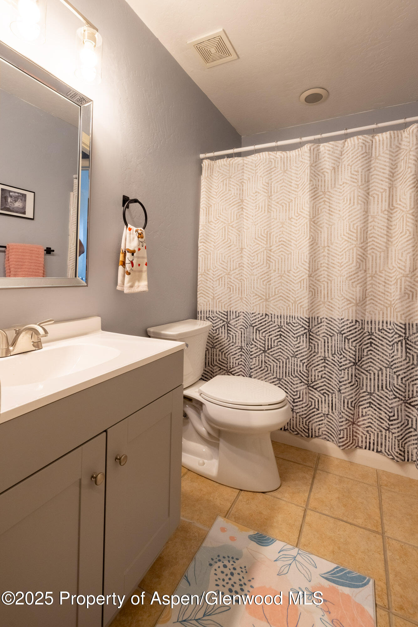 614 Lakeside Drive Basalt, CO 81621 - Photo 10 of 14 2L4A2977-HDR