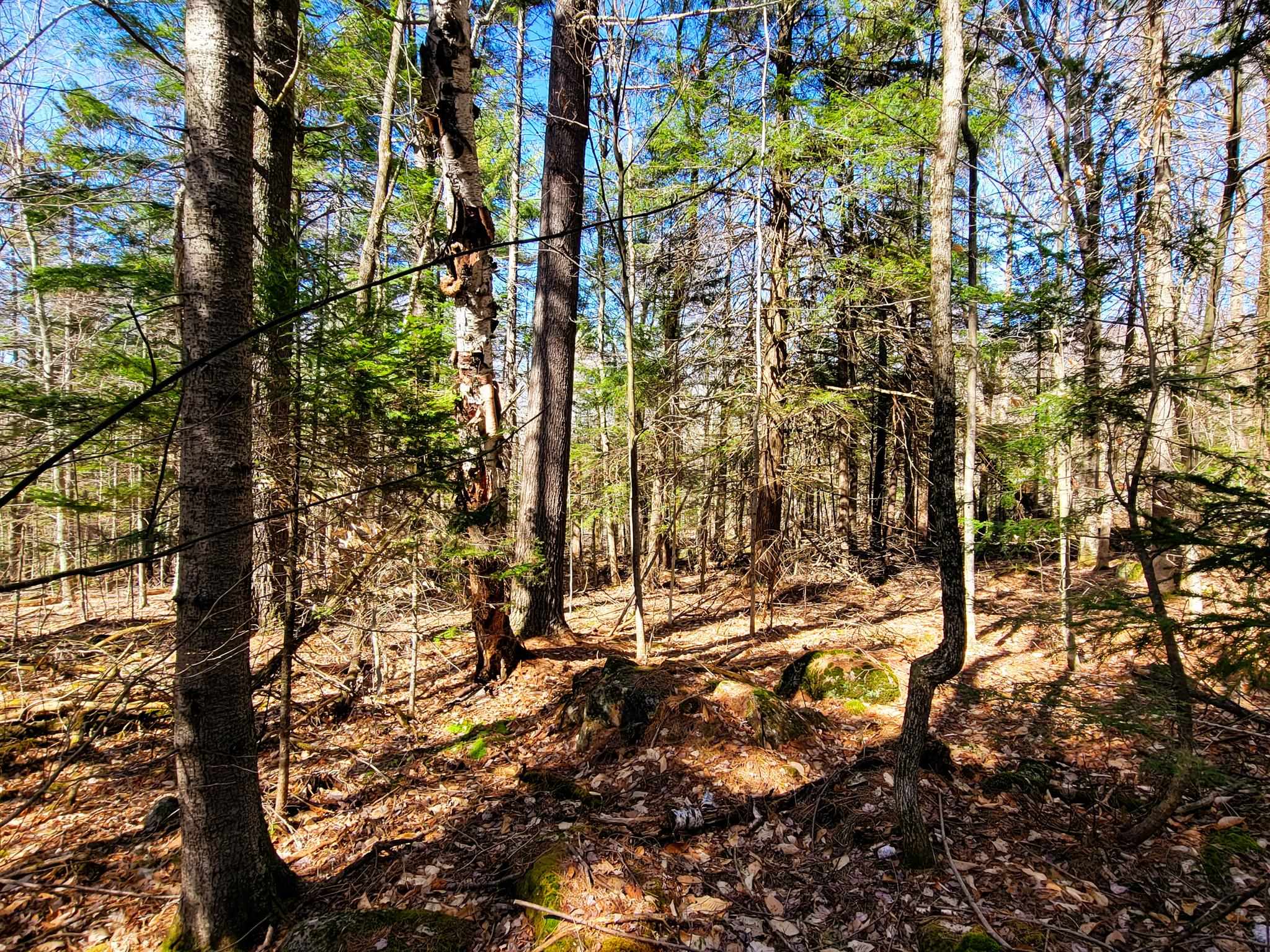 405 Bailey Road Washington, NH 03280 - Photo 17 of 25