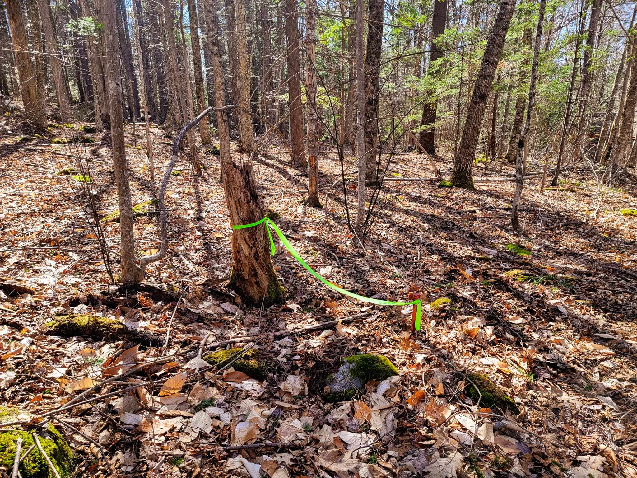 405 Bailey Road Washington, NH 03280 - Photo 18 of 25