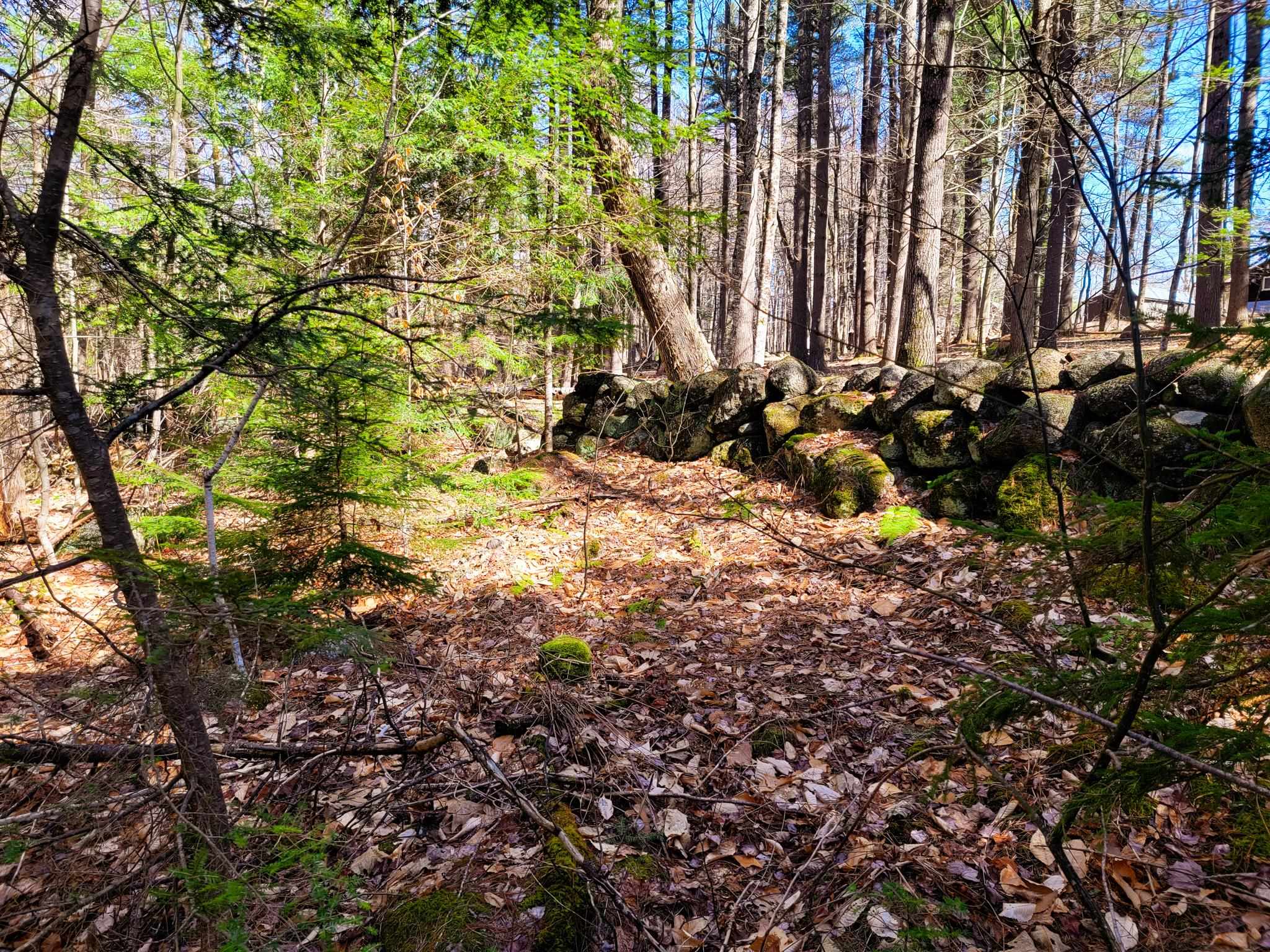 405 Bailey Road Washington, NH 03280 - Photo 20 of 25