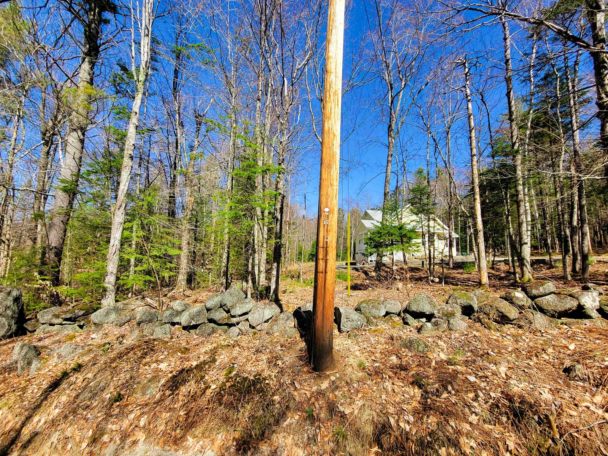 405 Bailey Road Washington, NH 03280 - Photo 22 of 25