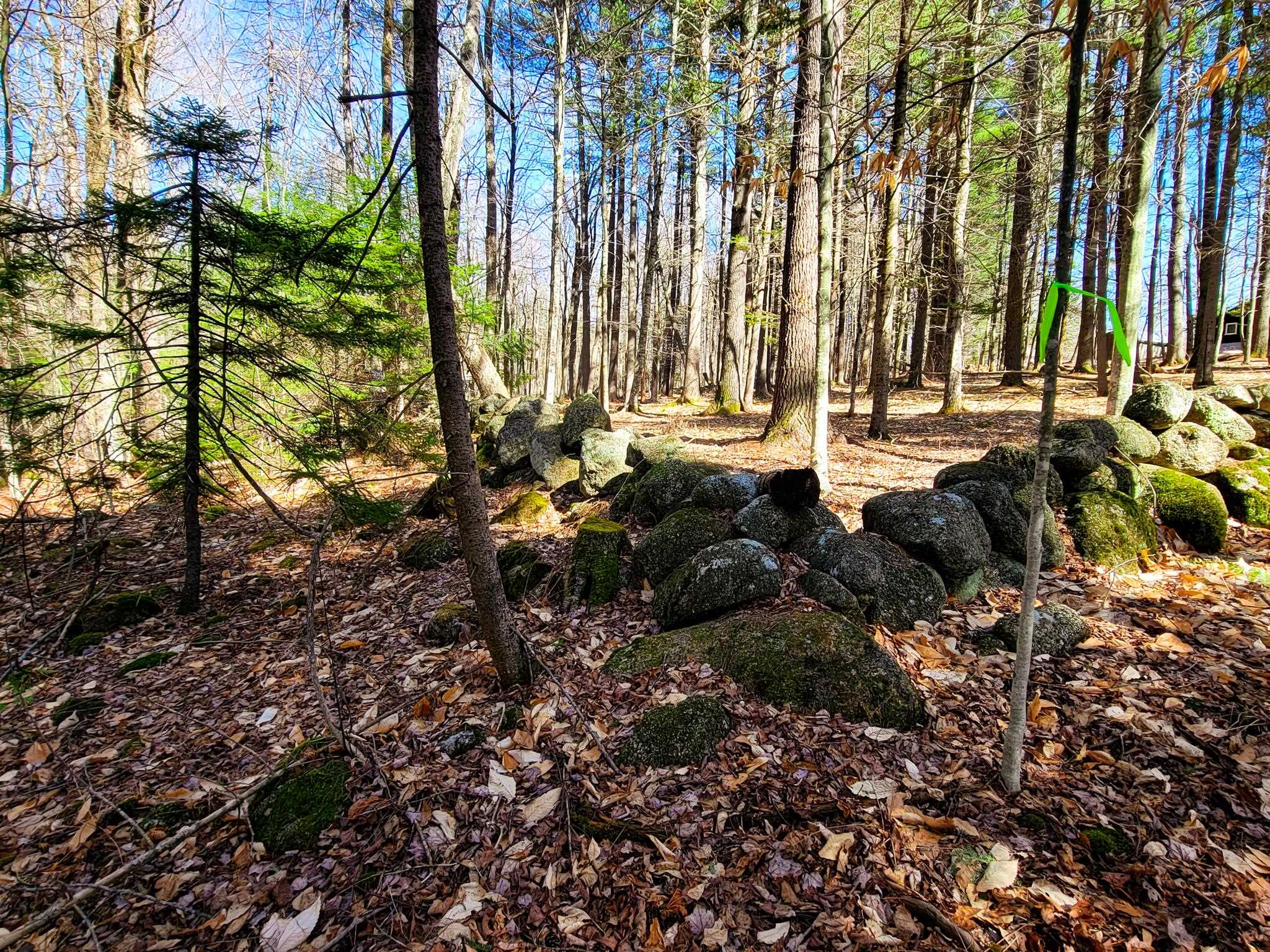 405 Bailey Road Washington, NH 03280 - Photo 4 of 25