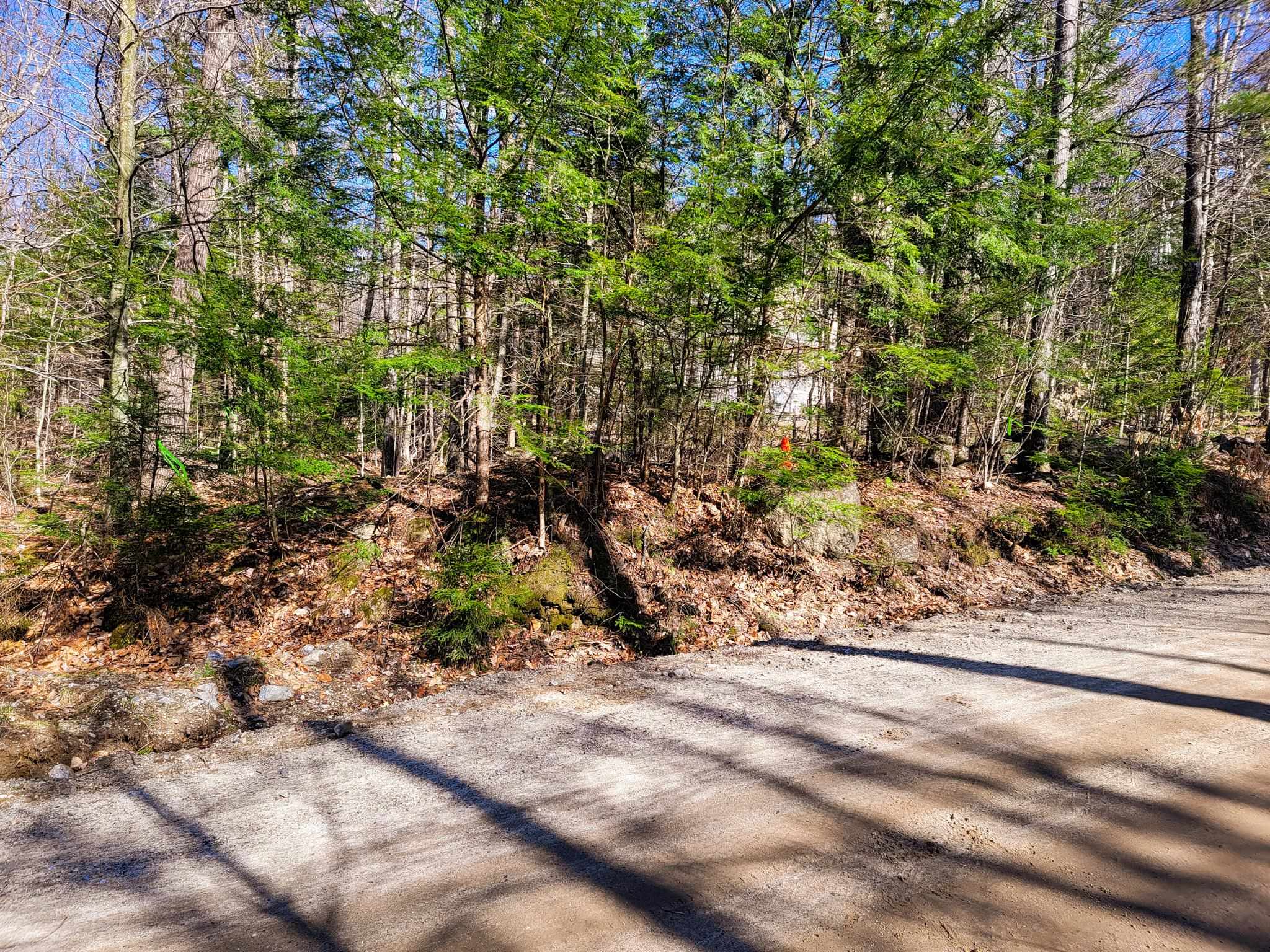 405 Bailey Road Washington, NH 03280 - Photo 7 of 25