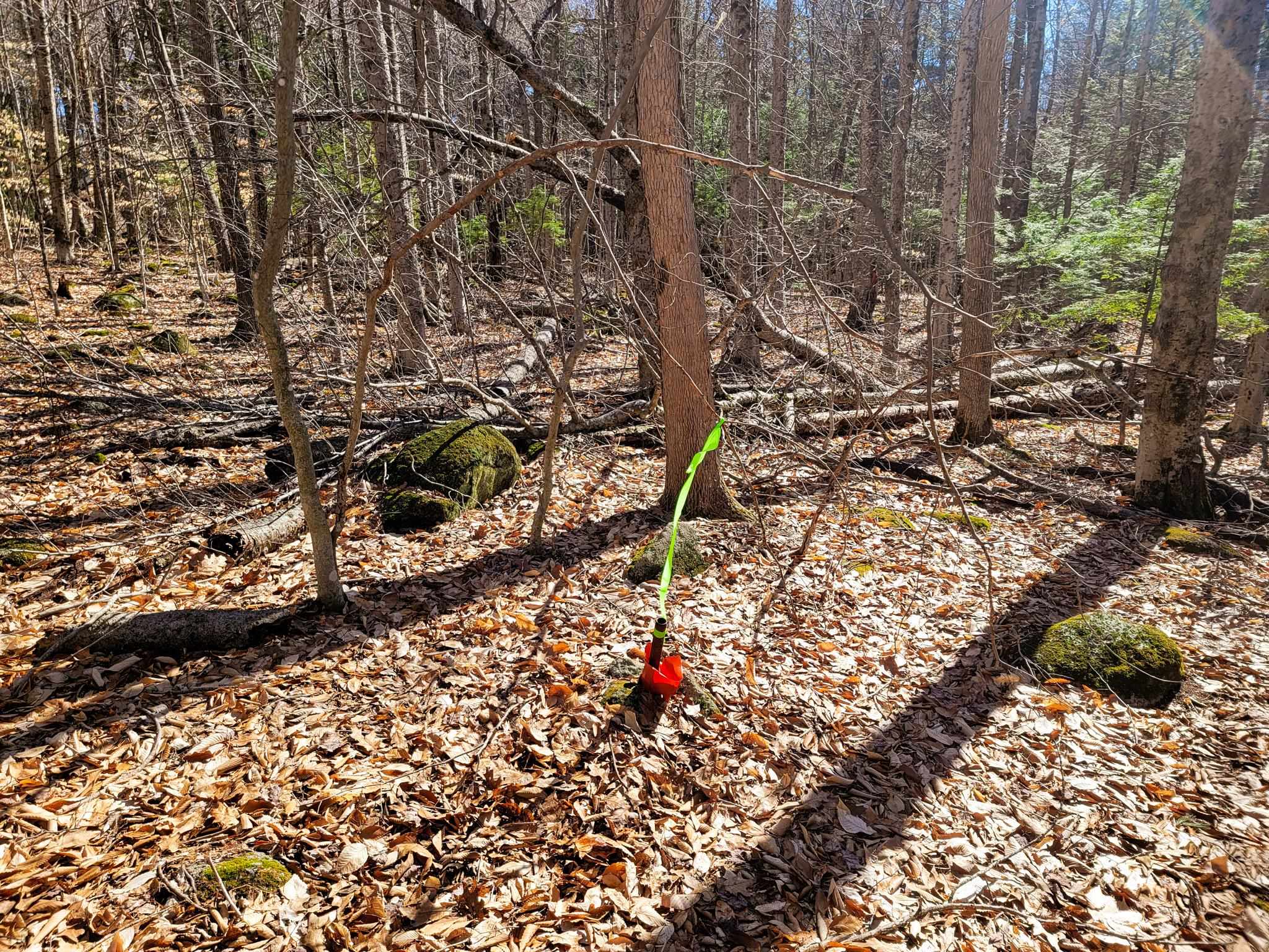 405 Bailey Road Washington, NH 03280 - Photo 8 of 25